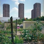 Source: Administration of the city of Zurich, 2008