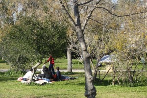 Akadimia Platonos Park