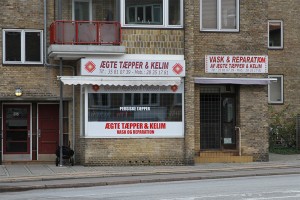 Bispebjerg efterår. © Vigdis Blach, Utrecht University. All Rights Reserved.