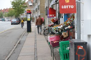 Bispebjerg efterår. © Vigdis Blach, Utrecht University. All Rights Reserved.