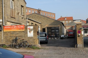 Bispebjerg efterår. © Vigdis Blach, Utrecht University. All Rights Reserved.