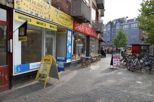 Bispebjerg efterår. © Vigdis Blach, Utrecht University. All Rights Reserved.