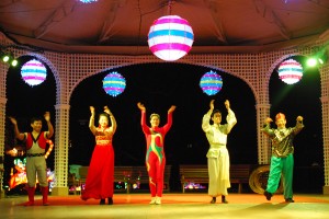 China Light Zoo spectacle, Antwerp. © 2015 Arne Saeys / Utrecht University. All rights reserved.