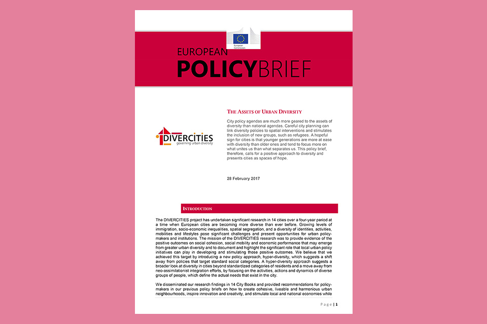 Assets of urban diversity